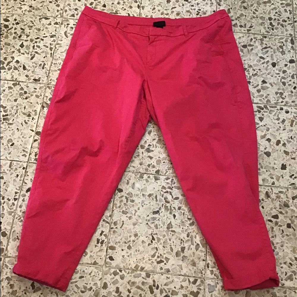 Lane Bryant Chinos